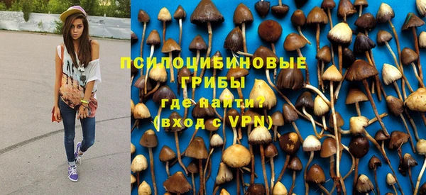 Альфа ПВП Балабаново