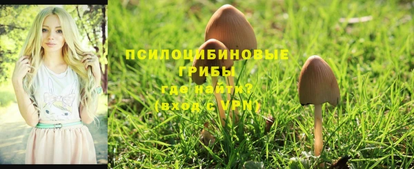 МДПВ Покровск
